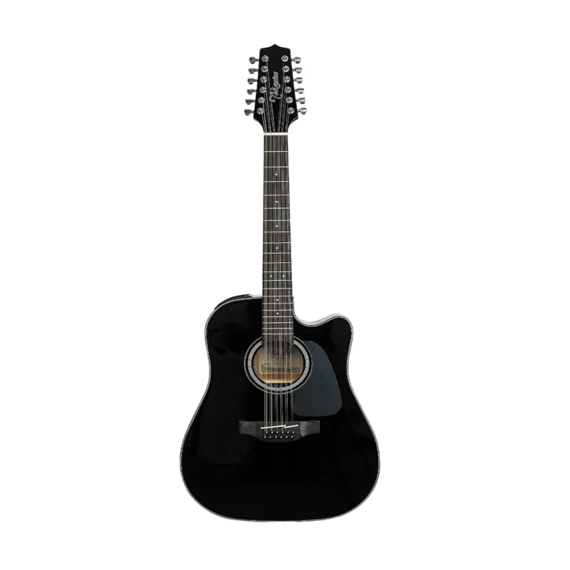 Takamine 2