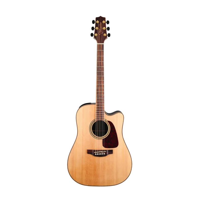 Takamine 7